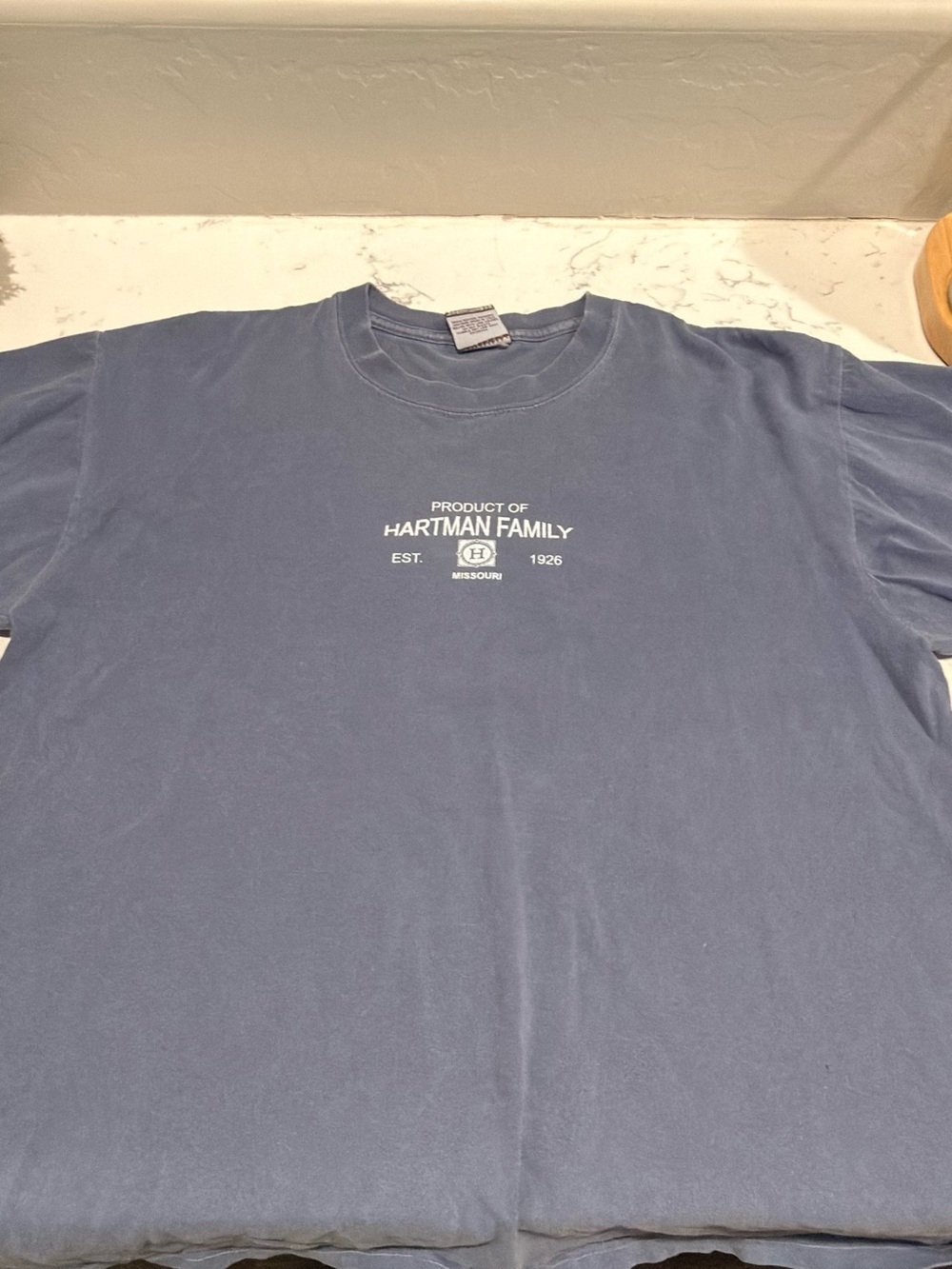 Short Sleeve Crew Tee in Washed Blue